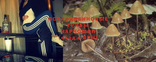 герыч Ладушкин