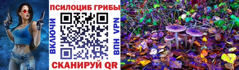mega зеркало  Холм  Псилоцибиновые грибы Cubensis 